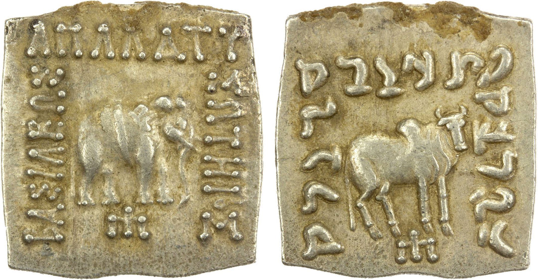 Elephant/Zebu, Sterling Silver Pendant, Apollodotus I, Baktria Drachma Coin, ID15431