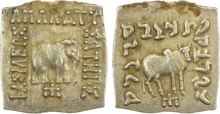 Elephant/Zebu, Sterling Silver Pendant, Apollodotus I, Baktria Drachma Coin, ID15431